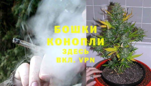 хмурый Волосово