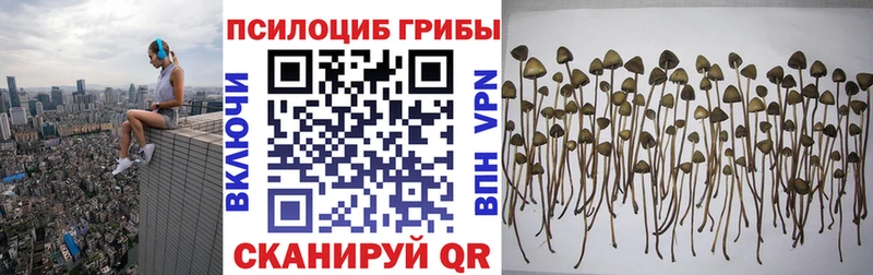 Псилоцибиновые грибы Magic Shrooms  Нерюнгри 